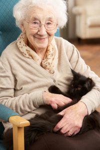 Senior Woman Relaxing In Chair At Home With Pet Cat Smiling To Camera